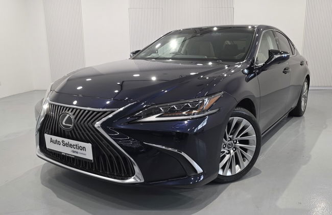 2019 Toyota LEXUS ES250 LUXURY