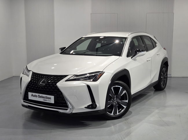 2019 Toyota LEXUS UX200 LUXURY