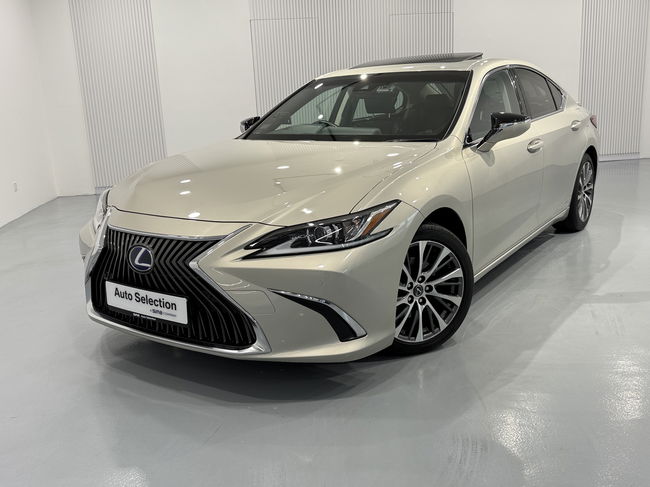 2019 Toyota LEXUS ES300H EXECUTIVE
