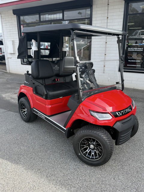 2025 LV Tong 2 Seat Premium  Luxury Upgrades