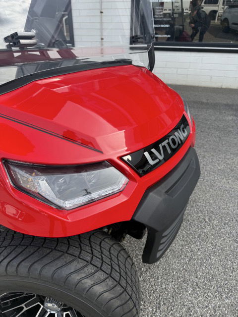 2025 LV Tong 2 Seat Premium  Luxury Upgrades