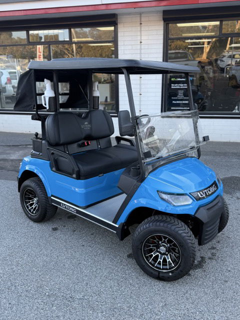 2025 LV Tong 2 seat Premium  Luxury Upgrades