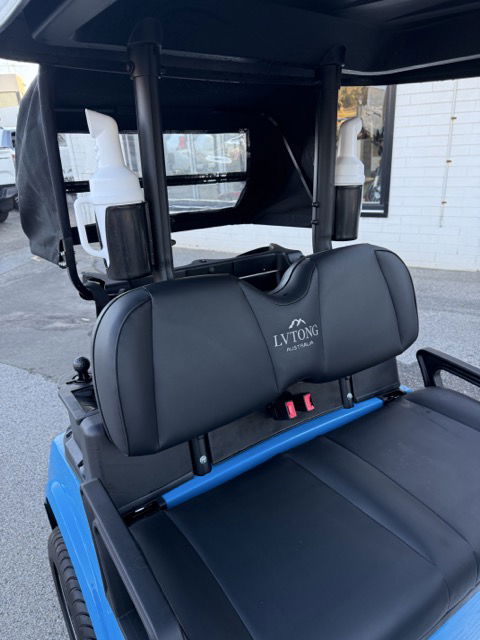 2025 LV Tong 2 seat Premium  Luxury Upgrades
