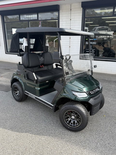 2025 LV Tong 2 seat Premium  Luxury Upgrades